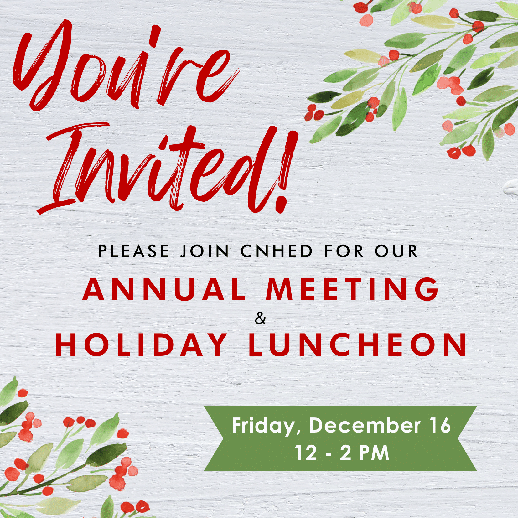 CNHED Annual Membership Meeting and Holiday Luncheon